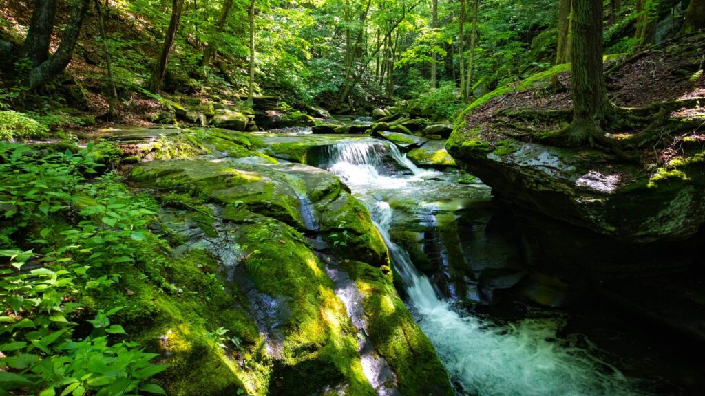 美しい川の流れ