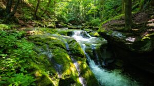 美しい川の流れ