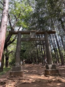 神社の空気感を感じる写真