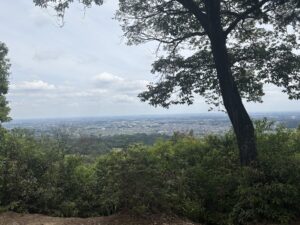 山頂の写真